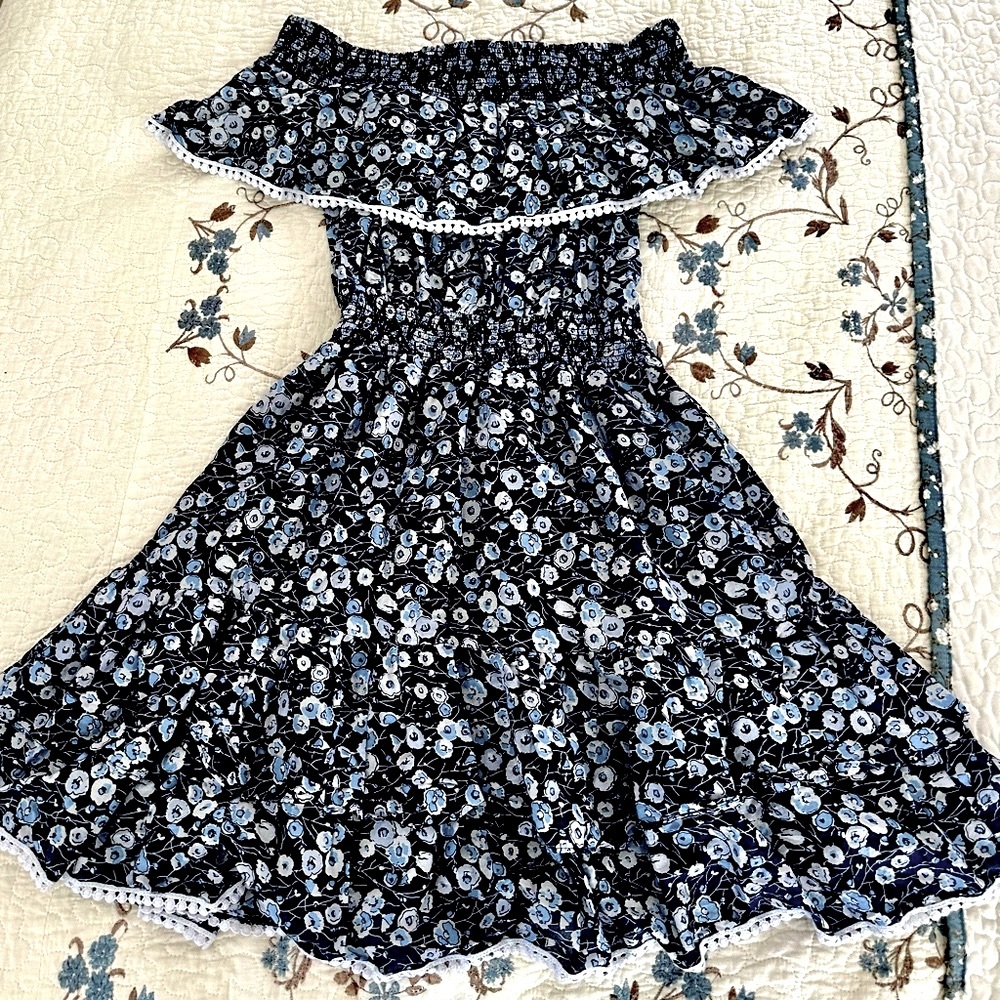 Eva Mendes Navy and White Floral Dress